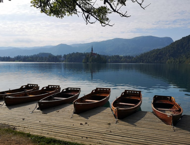 IMG_20190917_095829-01