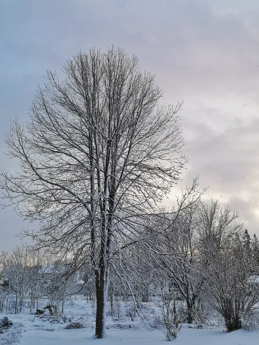 IMG_20191215_162144-01