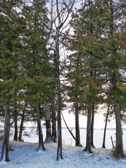 IMG_20191223_134429-01