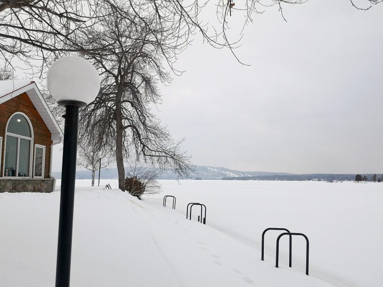 IMG_20200201_154713-01[1]