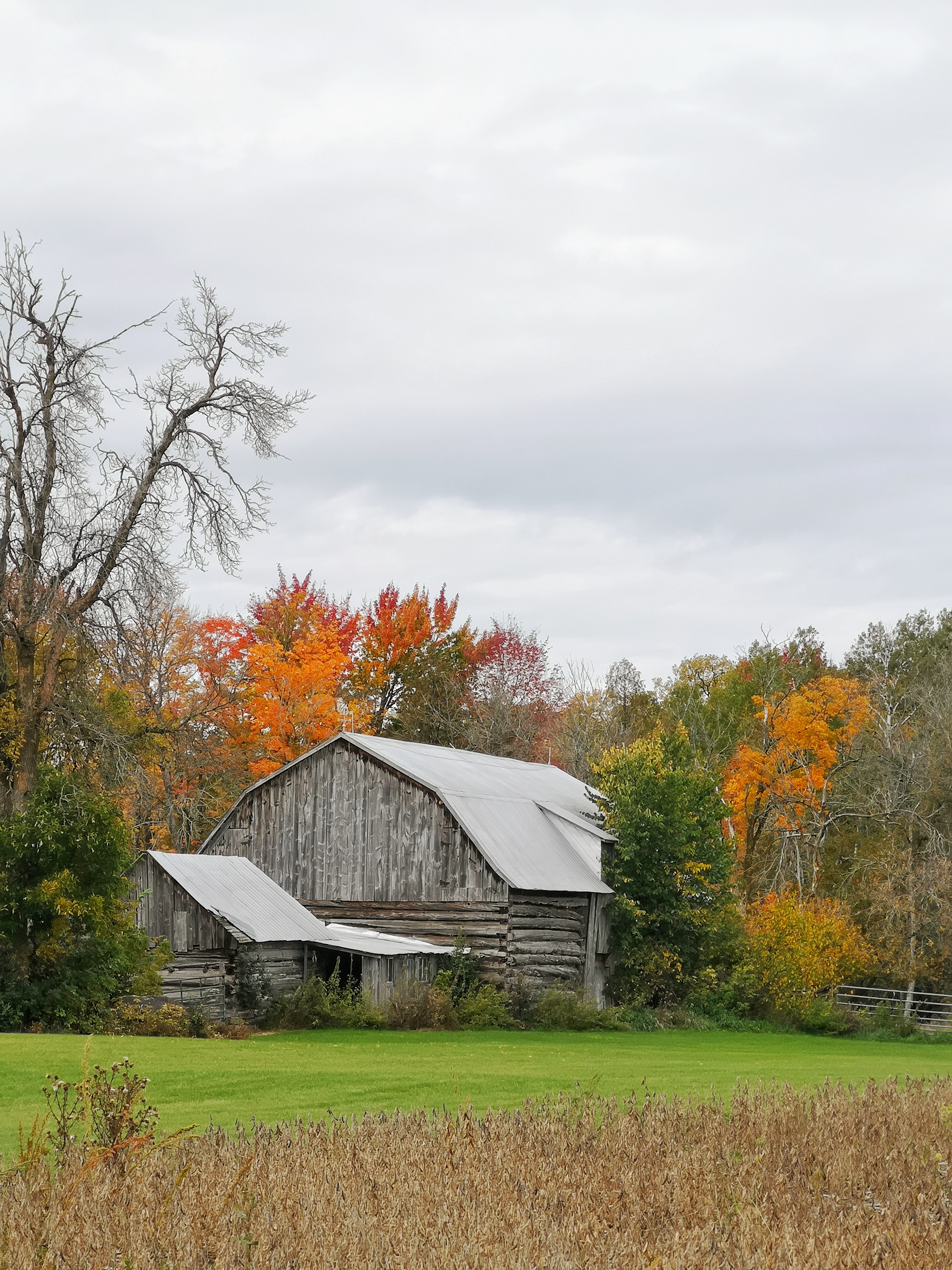 IMG_20201003_121919-02