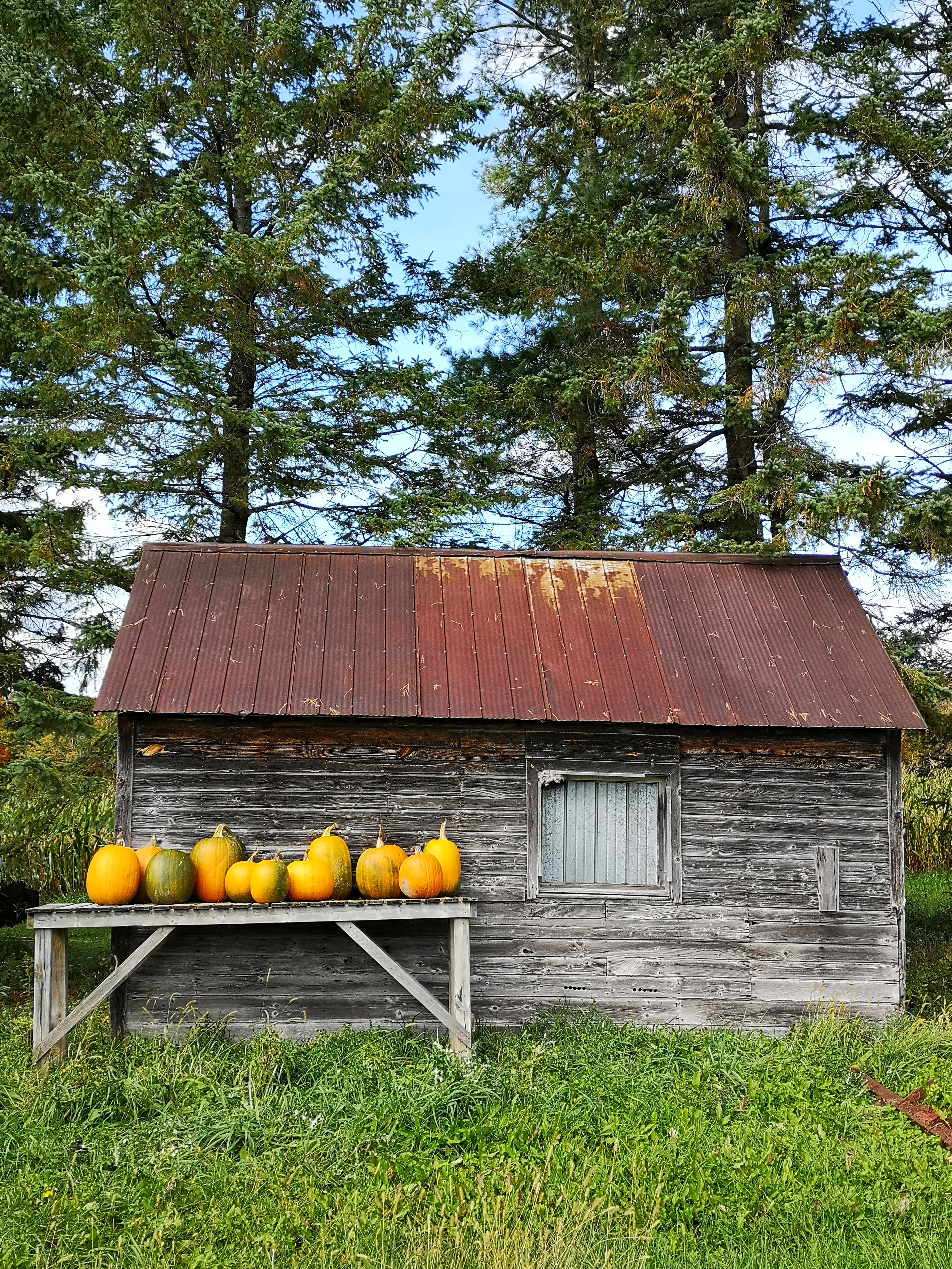 IMG_20201003_133706-01